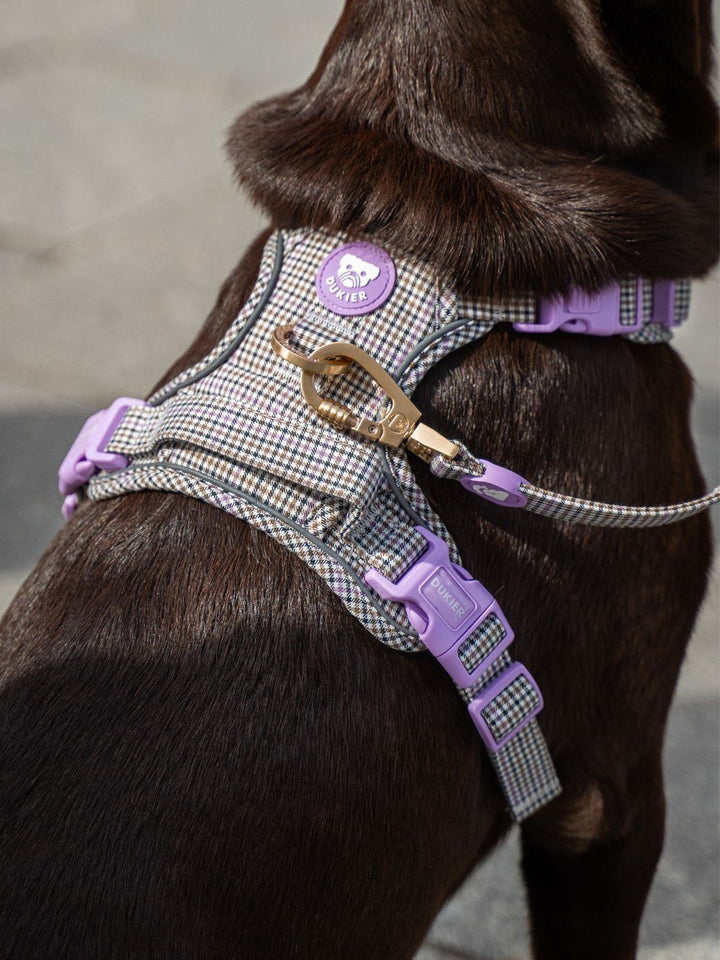 HUNDELEINE PREPPY LILAC