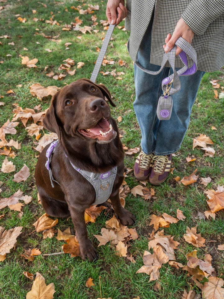 TRAIL HUNDEGESCHIRR PREPPY LILAC