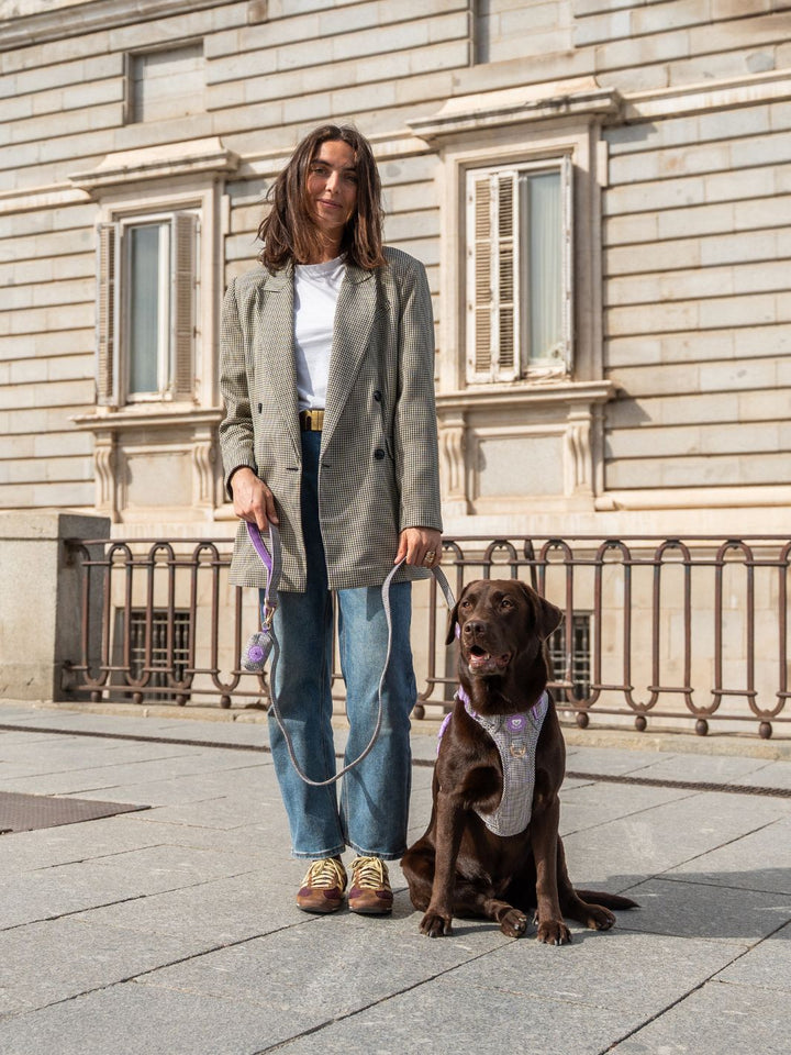 TRAIL HUNDEGESCHIRR PREPPY LILAC