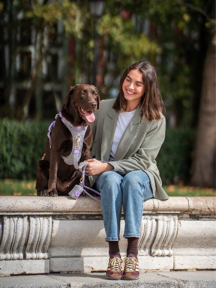 TRAIL HUNDEGESCHIRR PREPPY LILAC