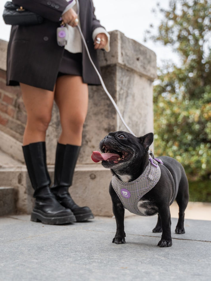 VERSTELLBARES HUNDEGESCHIRR PREPPY LILAC