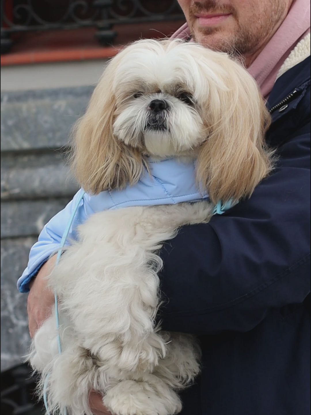 DOG COAT BLUE