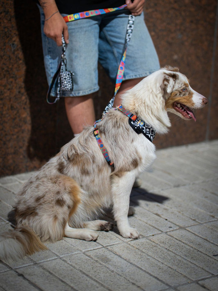 ADJUSTABLE DOG HARNESS SKULLS