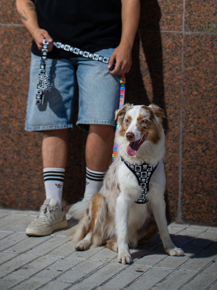 DOG LEASH SKULLS