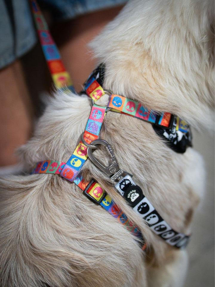 ADJUSTABLE DOG HARNESS SKULLS