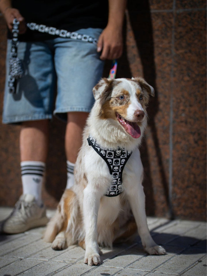 ADJUSTABLE DOG HARNESS SKULLS