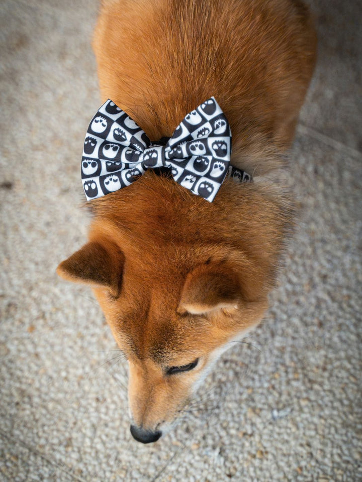 NOEUD PAPILLON POUR CHIEN SKULLS