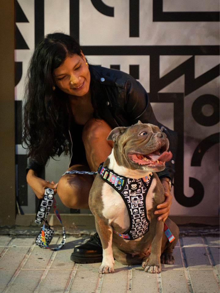 HARNAIS TRAIL POUR CHIEN SKULLS
