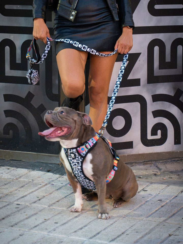 DOG LEASH SKULLS