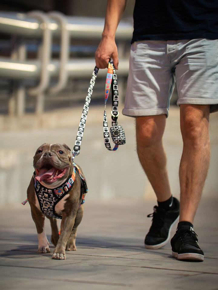 DOG LEASH SKULLS