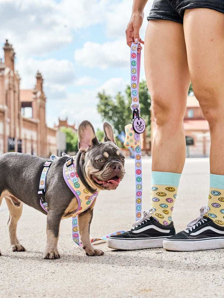 ARNÉS AJUSTABLE PARA PERRO SMILEY