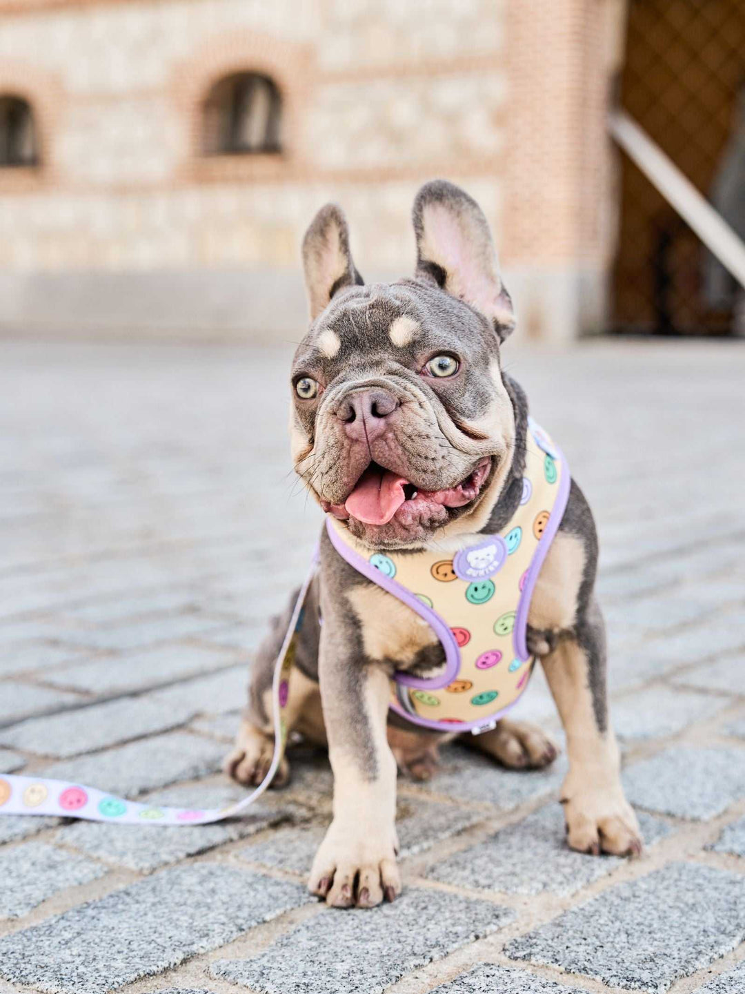 ARNÉS AJUSTABLE PARA PERRO SMILEY