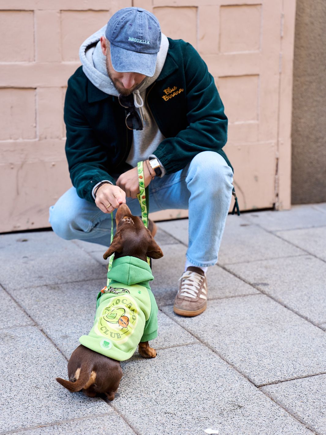 AVOCADO DOG HOODIE