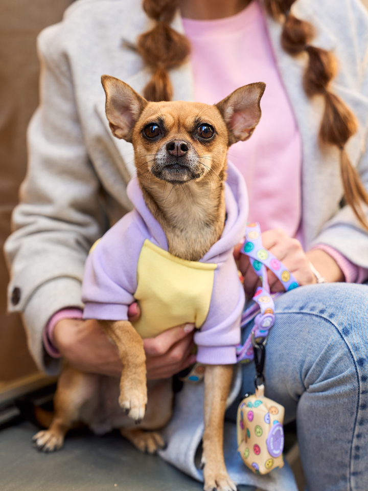 SMILEY DOG HOODIE