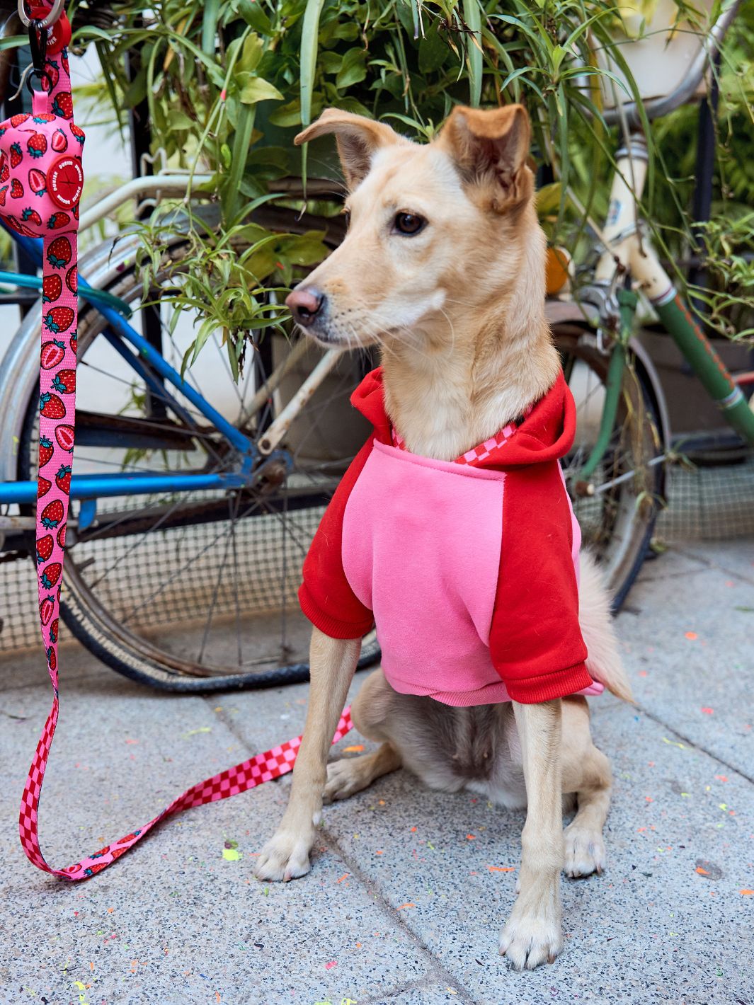 BERRY LOVE DOG HOODIE