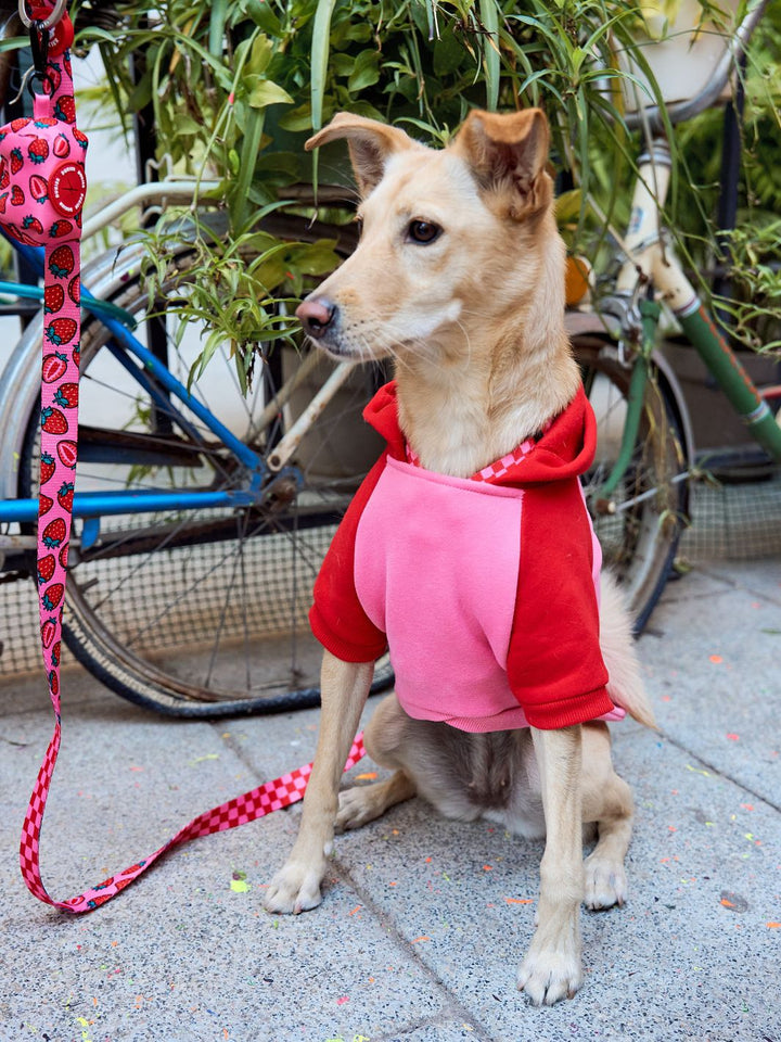 BERRY LOVE DOG HOODIE