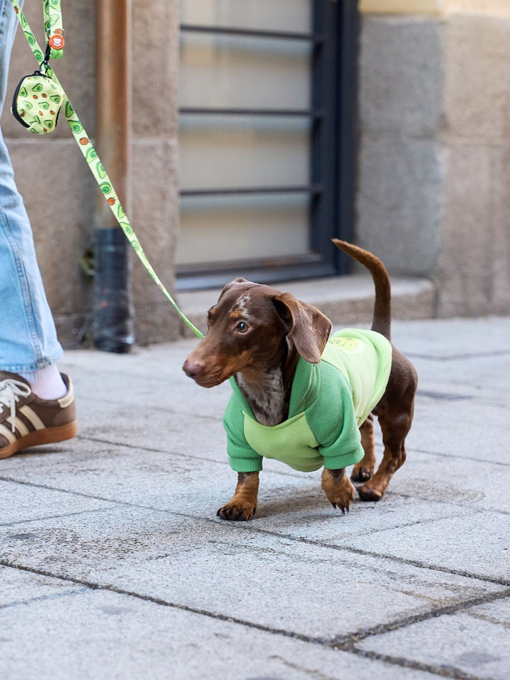 AVOCADO DOG HOODIE