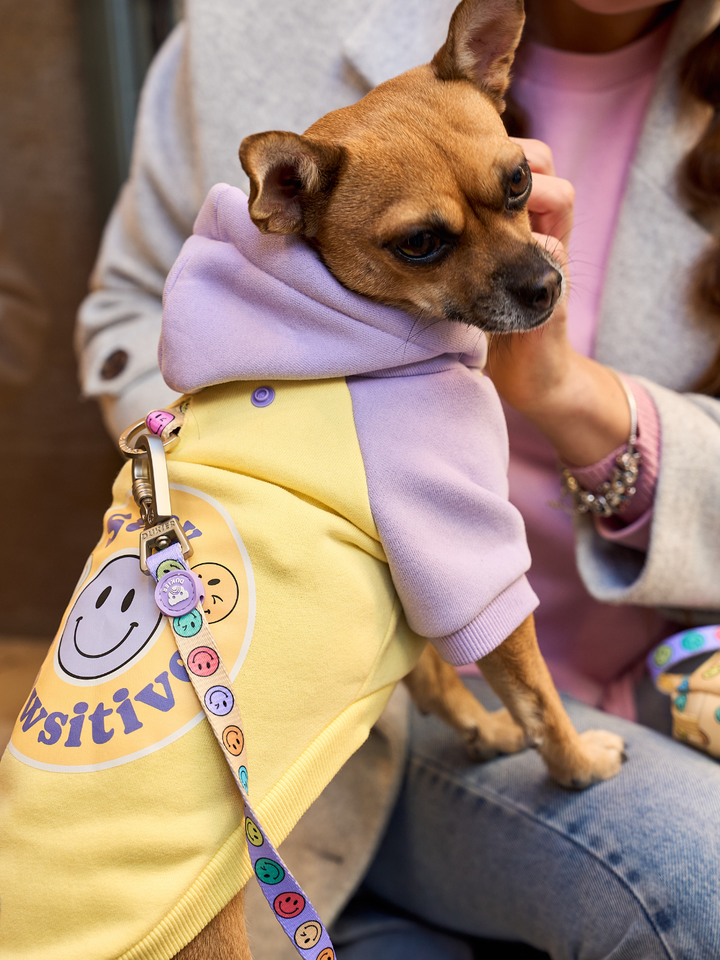 SMILEY DOG HOODIE