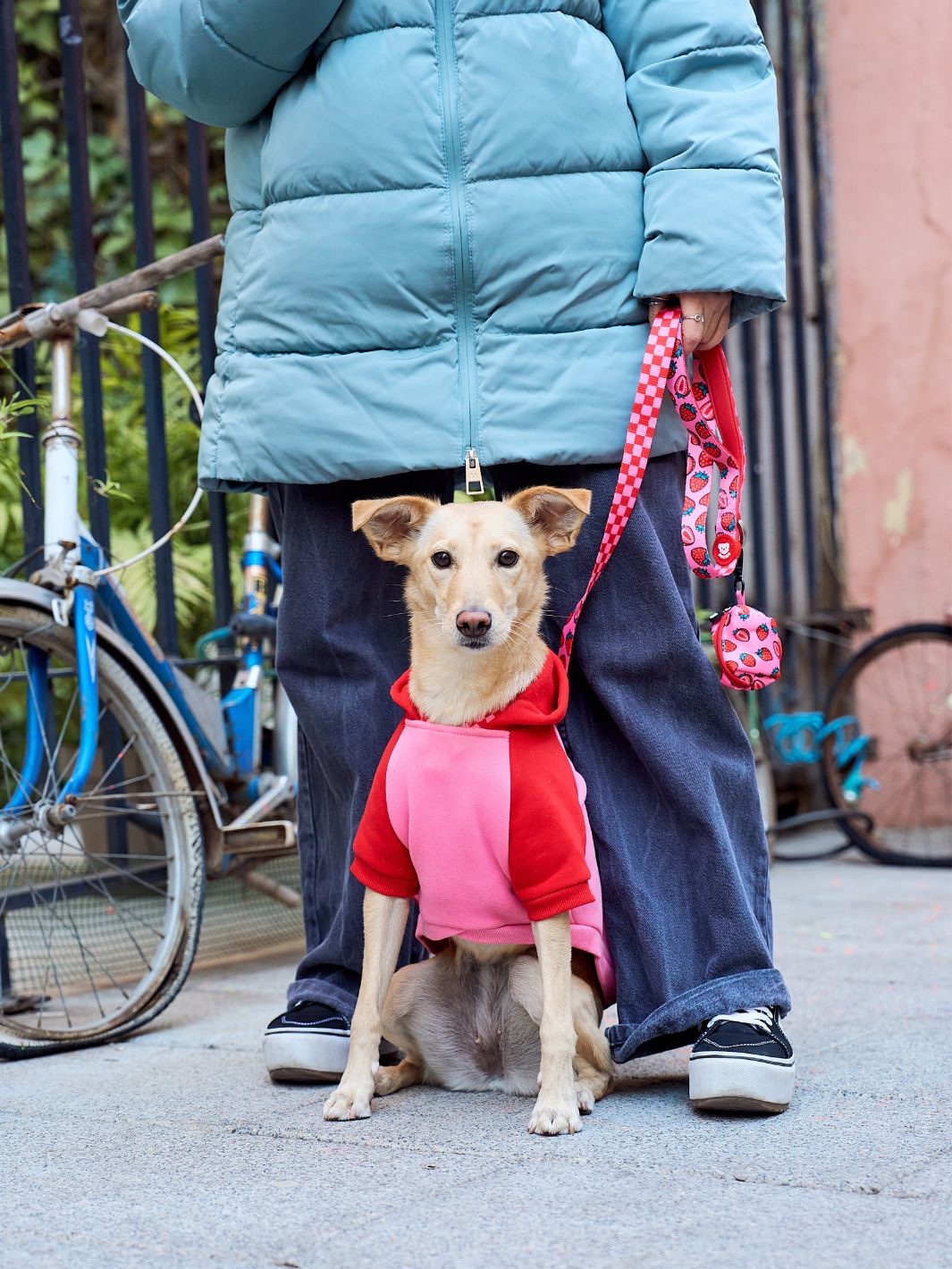 BERRY LOVE DOG HOODIE