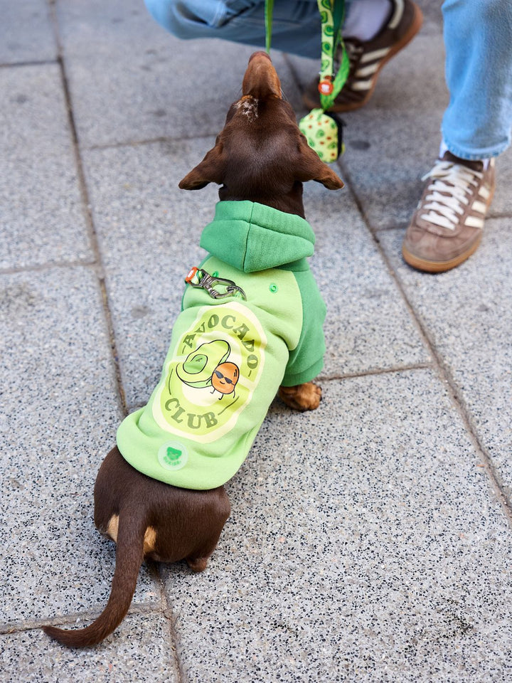 AVOCADO DOG HOODIE