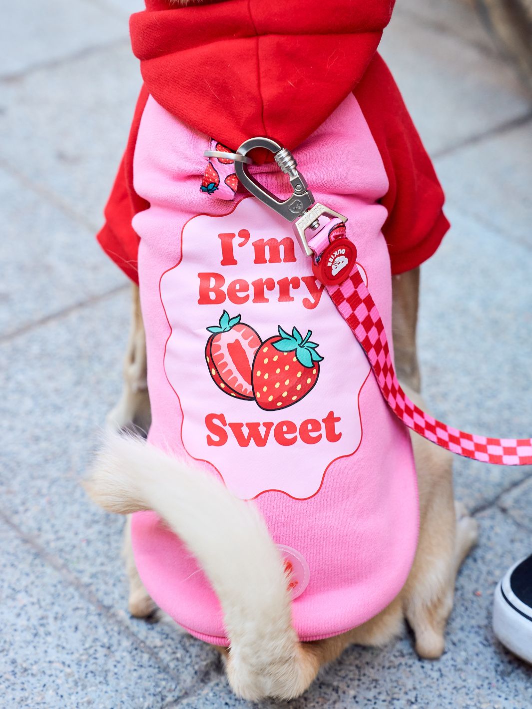 BERRY LOVE DOG HOODIE