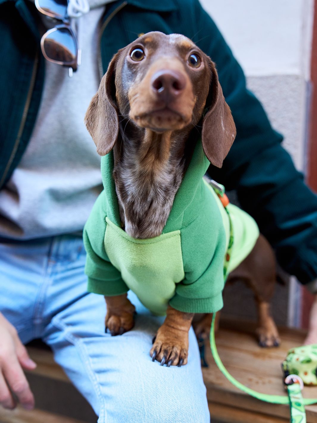 AVOCADO DOG HOODIE