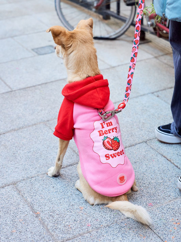BERRY LOVE DOG HOODIE