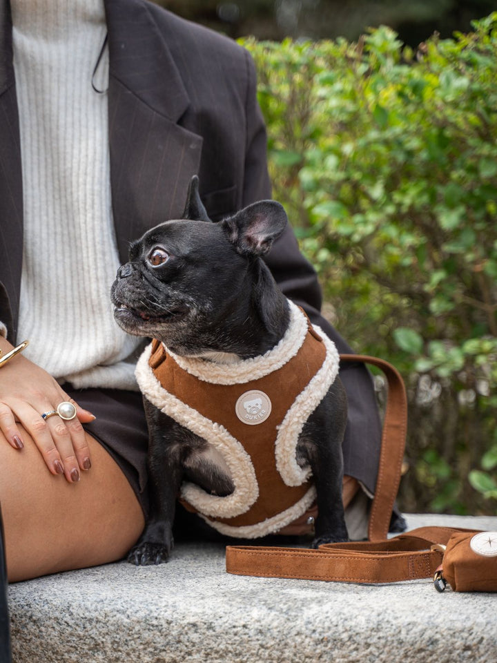 VERSTELLBARES HUNDEGESCHIRR SUEDE CAMEL