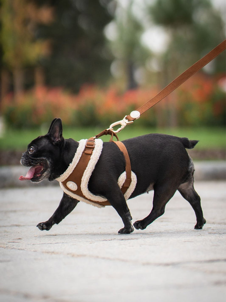 VERSTELLBARES HUNDEGESCHIRR SUEDE CAMEL