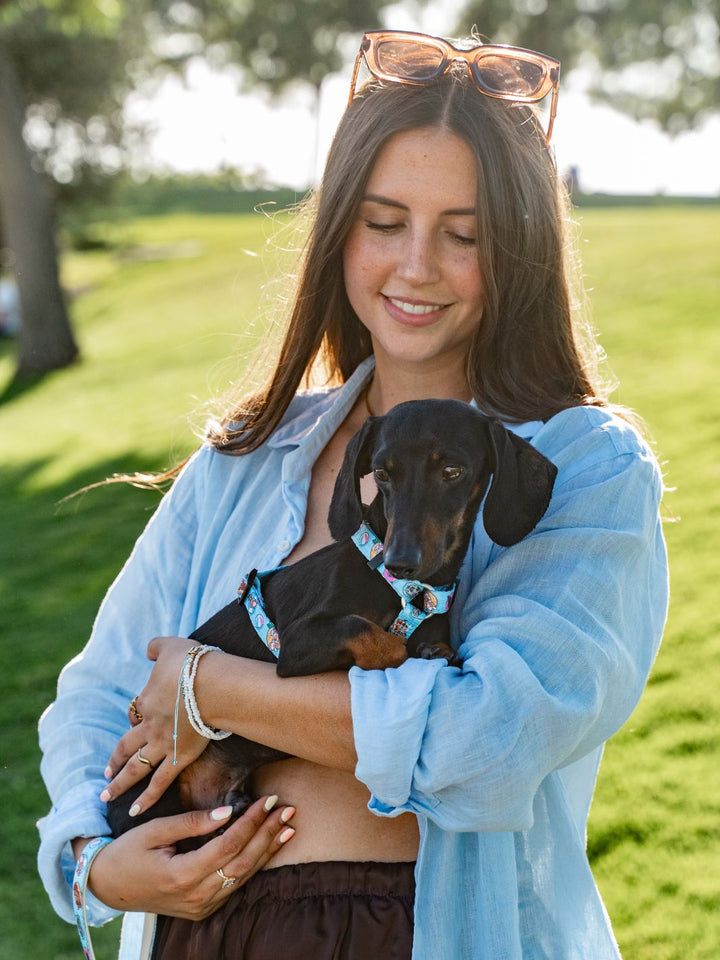 CLASSIC HARNESS FOR DOGS SUMMER HOT DOGS