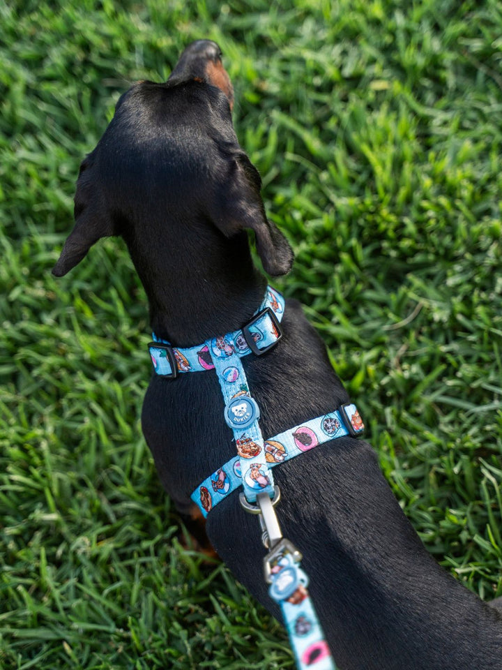 CLASSIC HARNESS FOR DOGS SUMMER HOT DOGS
