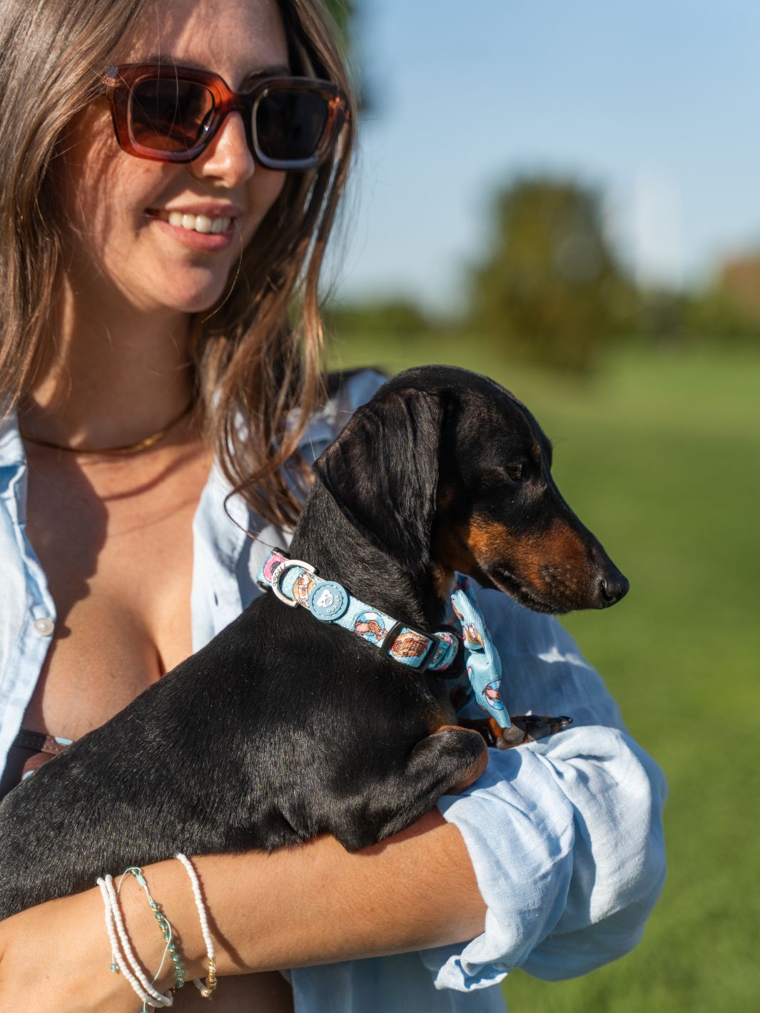 COLLAR FOR DOGS SUMMER HOT DOGS