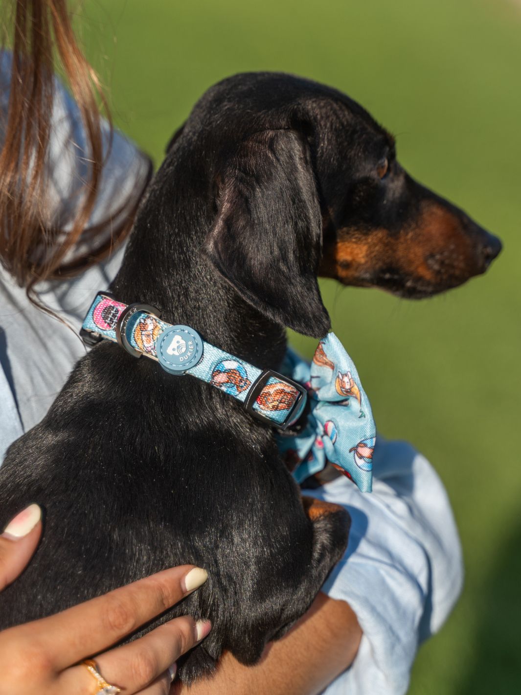 COLLAR FOR DOGS SUMMER HOT DOGS