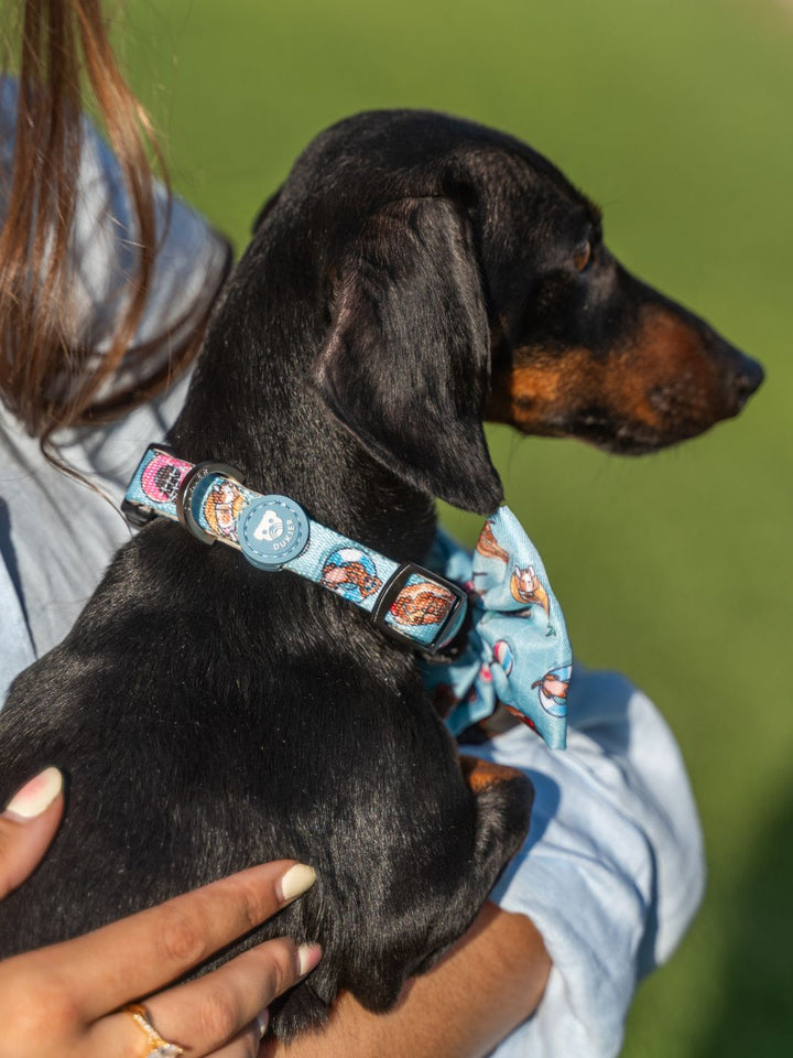 COLLAR FOR DOGS SUMMER HOT DOGS