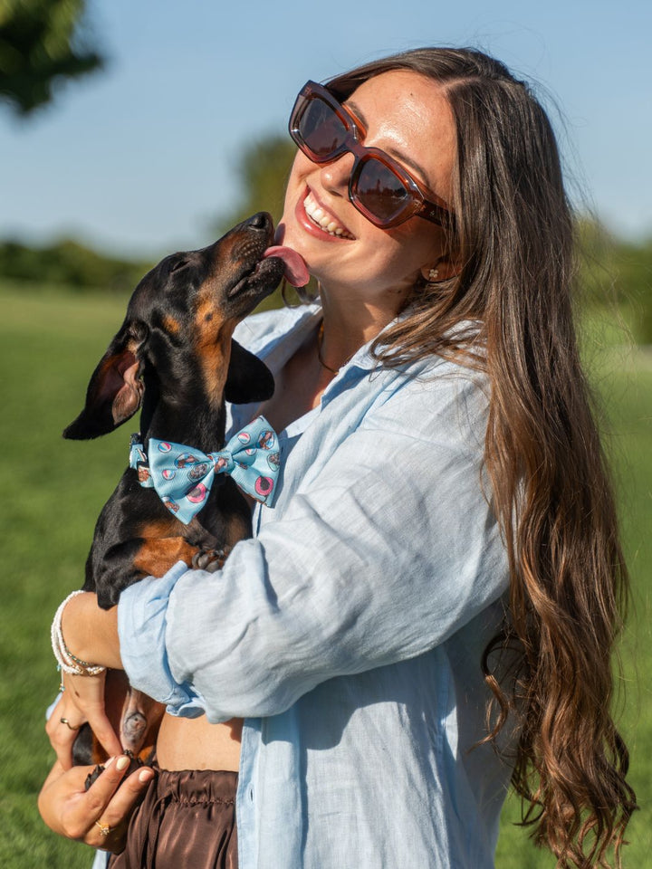 BOW TIE FOR DOGS SUMMER HOT DOGS