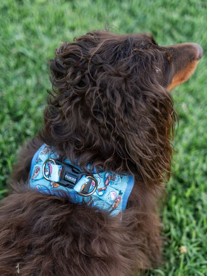 ARNÊS BODY PARA CÃO SUMMER HOT DOGS