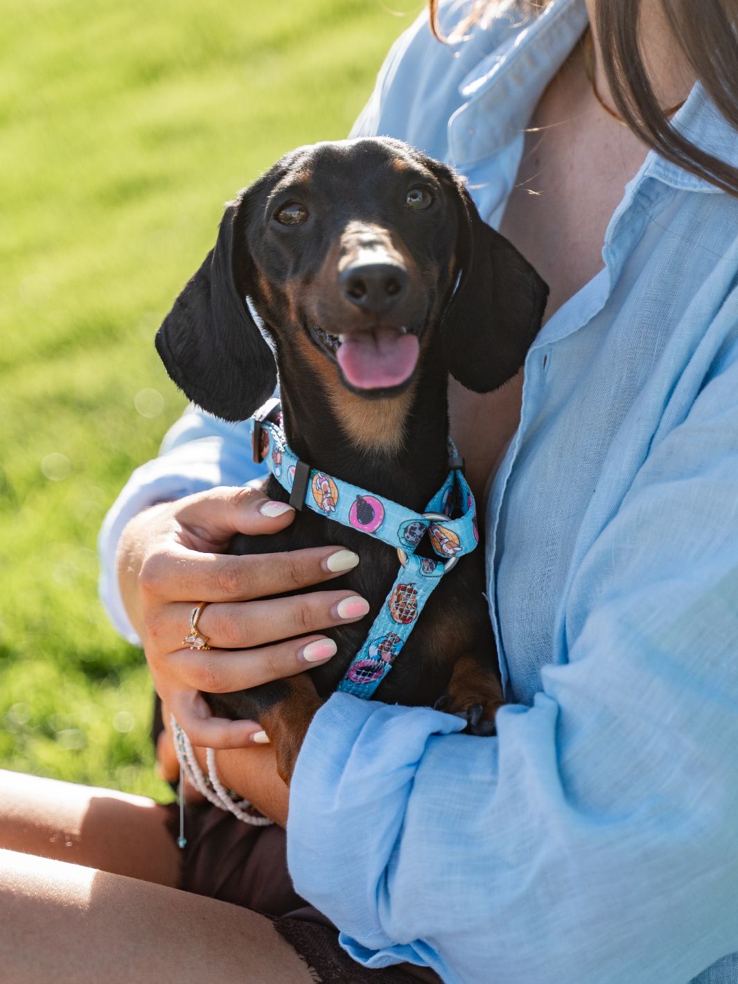CLASSIC HARNESS FOR DOGS SUMMER HOT DOGS