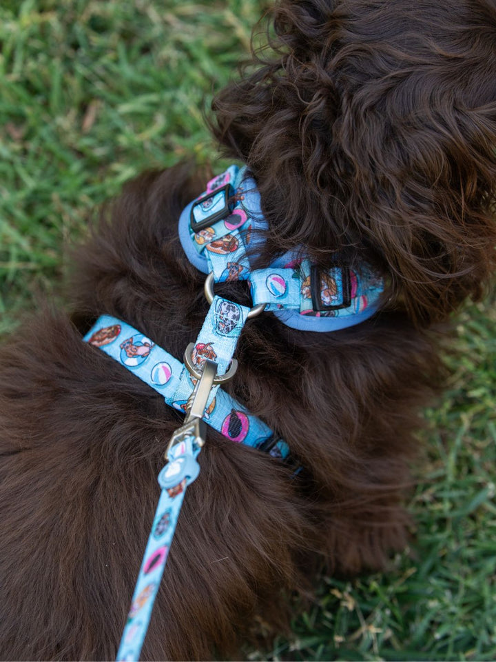 ADJUSTABLE HARNESS FOR DOGS SUMMER HOT DOGS