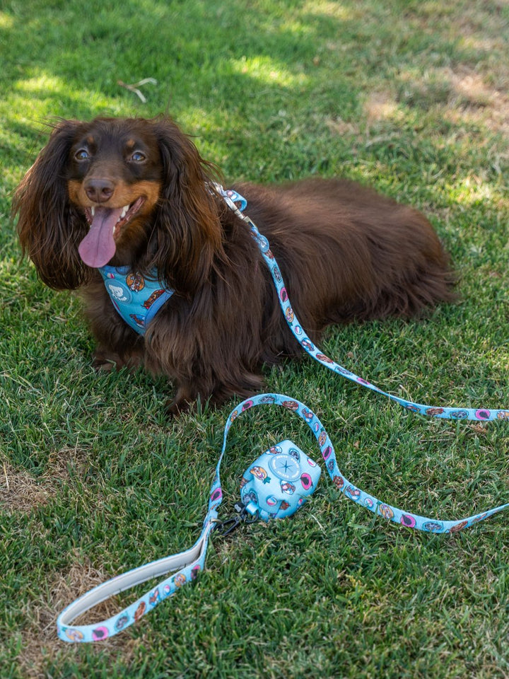 LEASH FOR DOGS SUMMER HOT DOGS