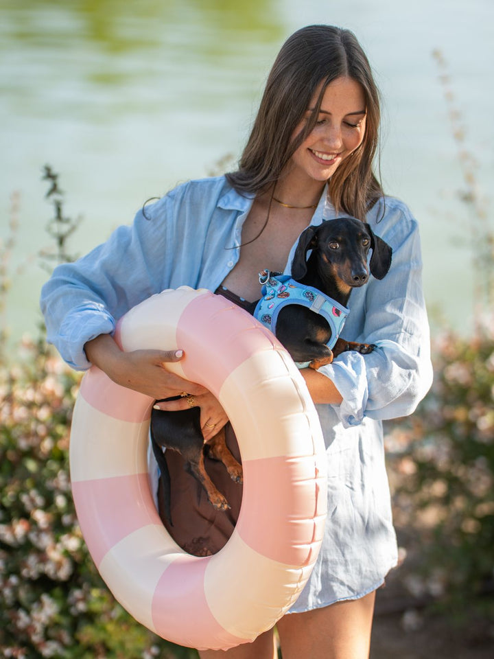 ARNÊS BODY PARA CÃO SUMMER HOT DOGS