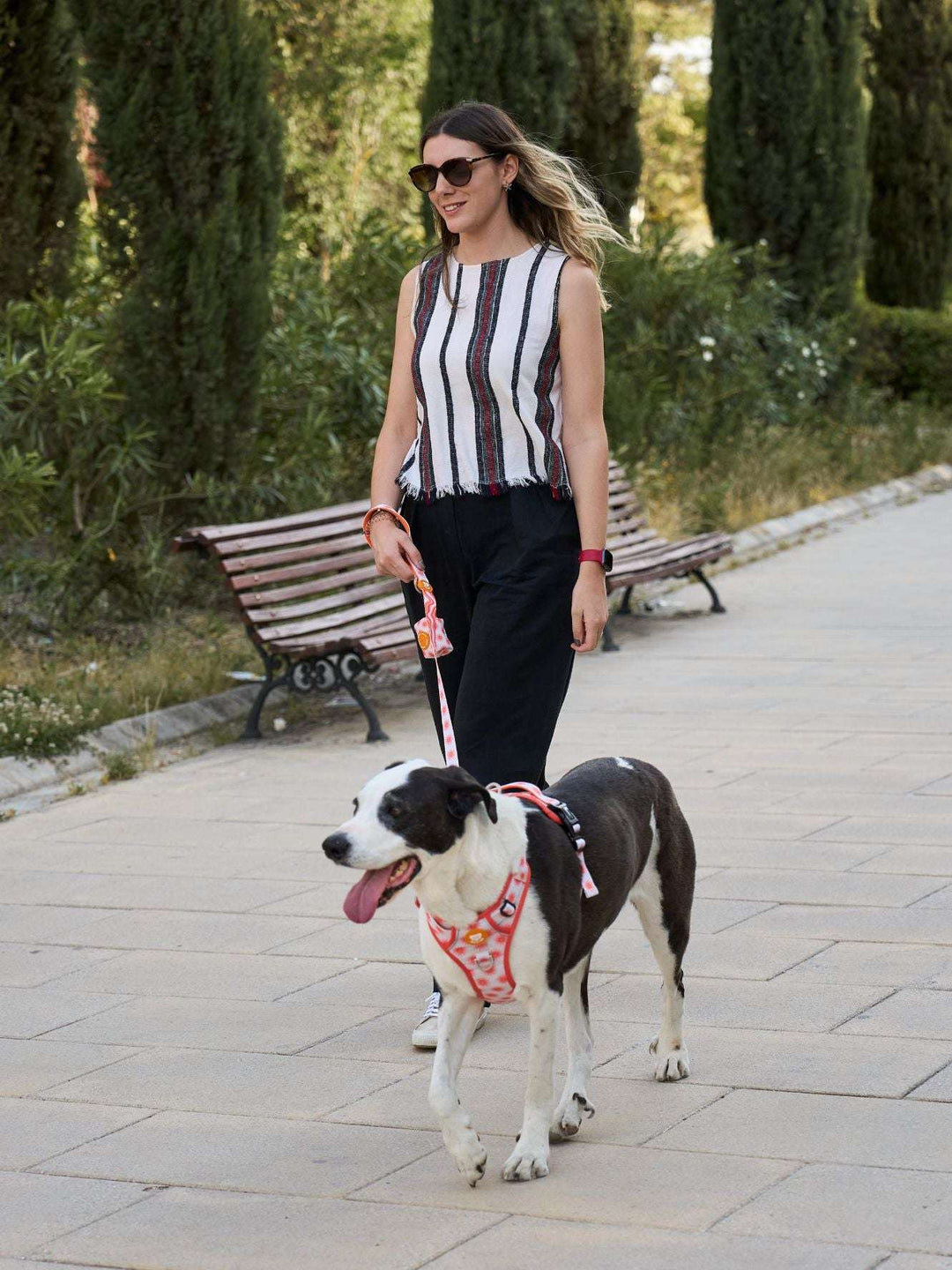 ARNES TRAIL PARA PERRO SUN