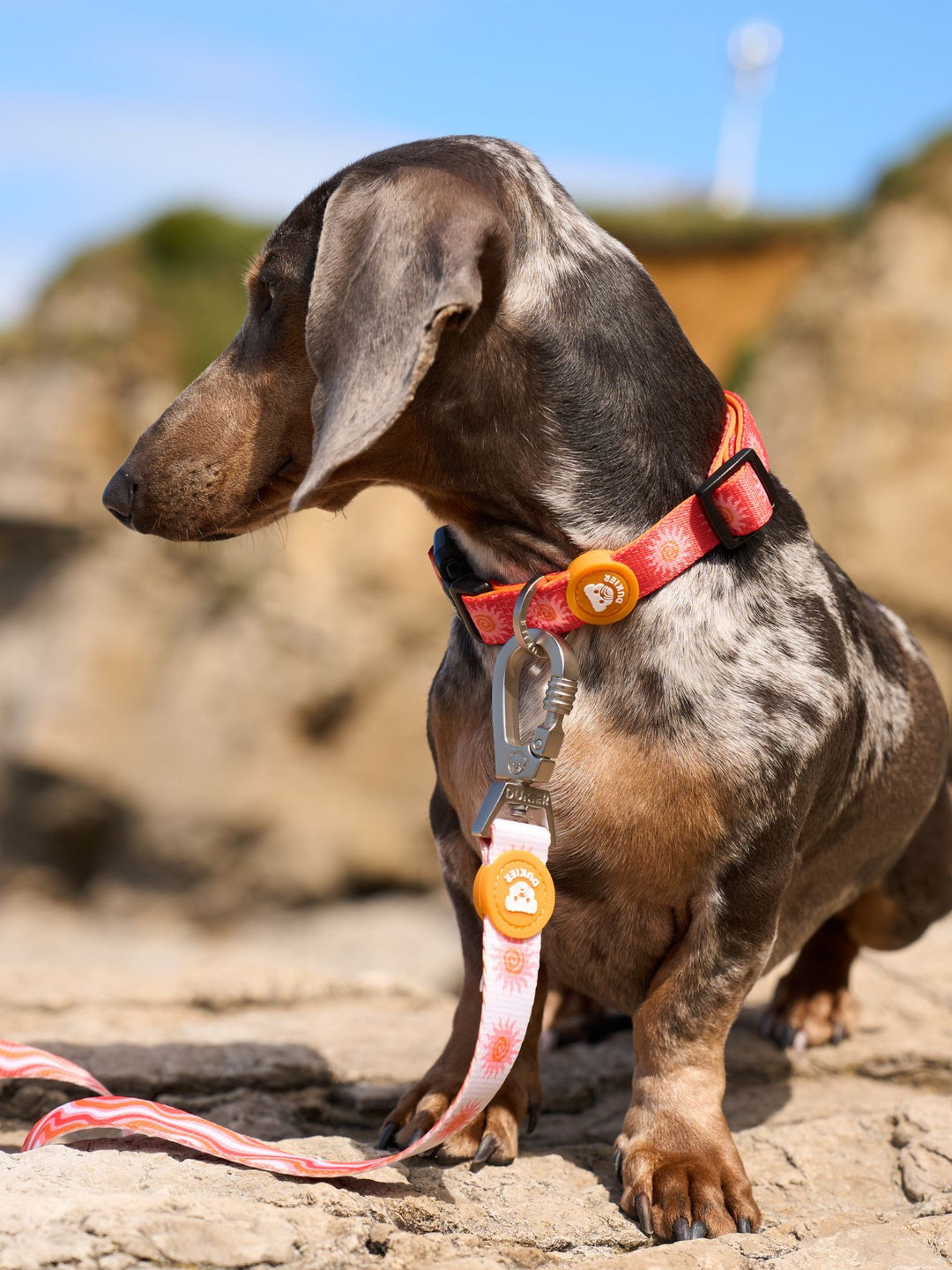 SUN DOG COLLAR