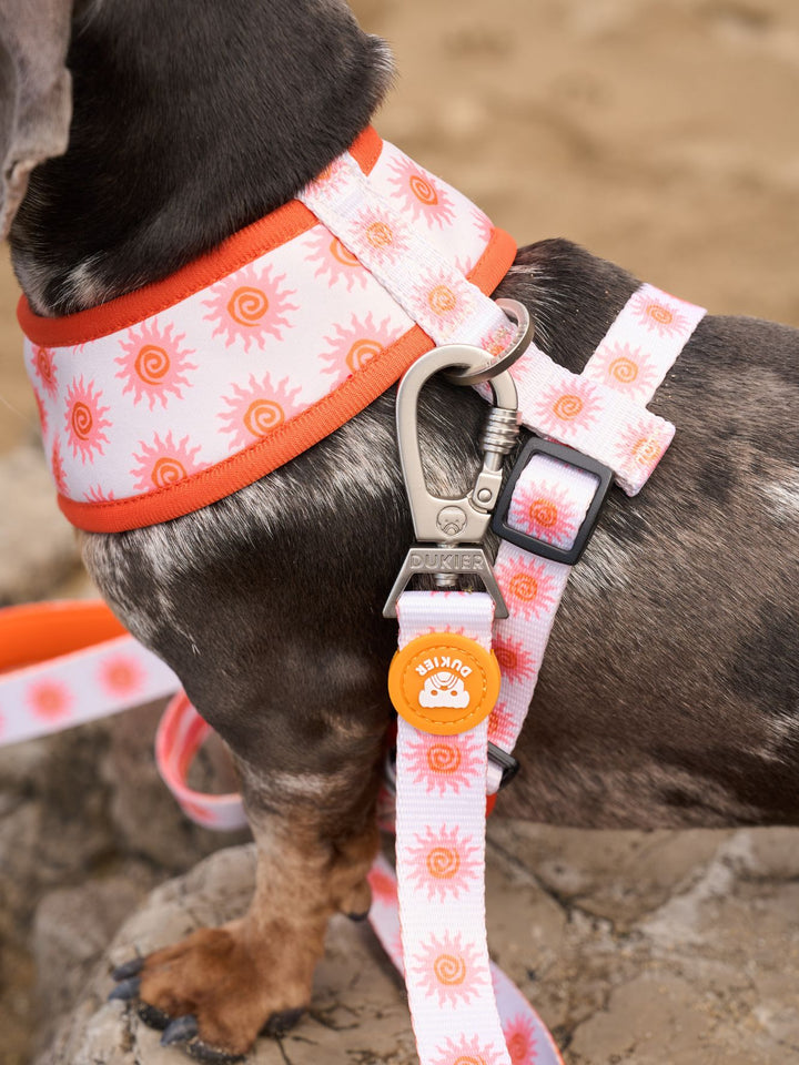 SUN LEASH FOR DOGS