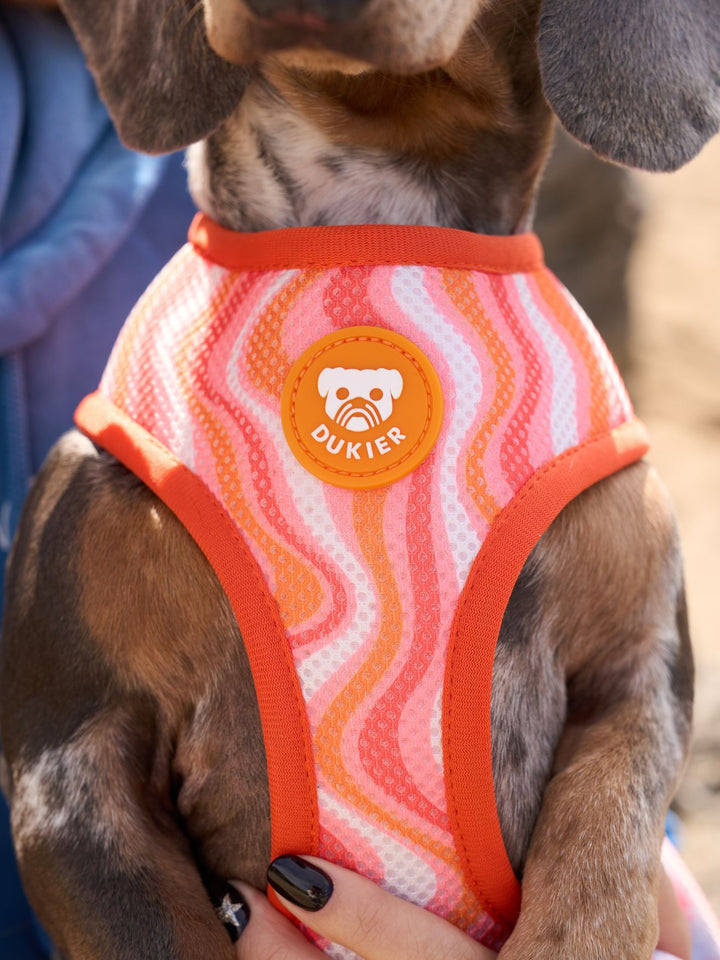 SUN REVERSIBLE DOG HARNESS