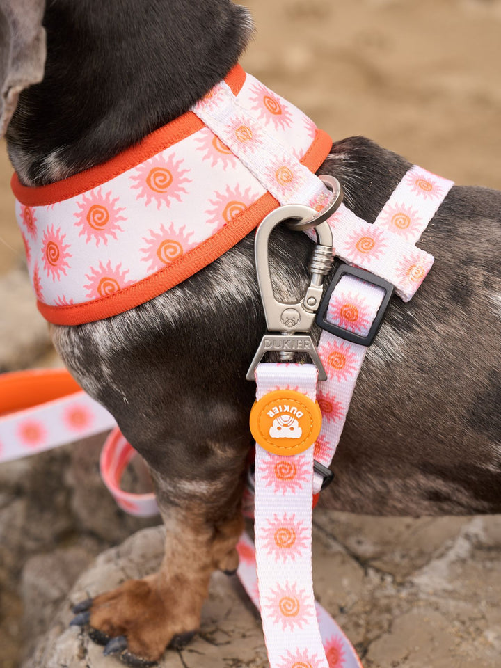 SUN REVERSIBLE DOG HARNESS