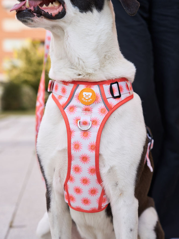 TRAIL DOG HARNESS SUN