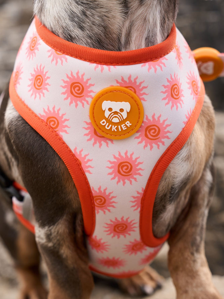 SUN REVERSIBLE DOG HARNESS