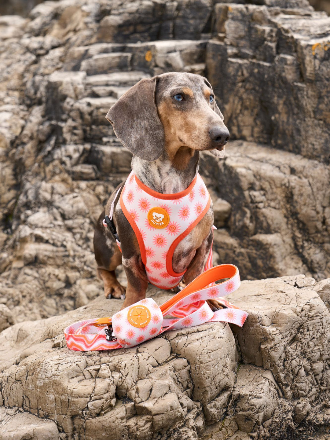 SUN REVERSIBLE DOG HARNESS