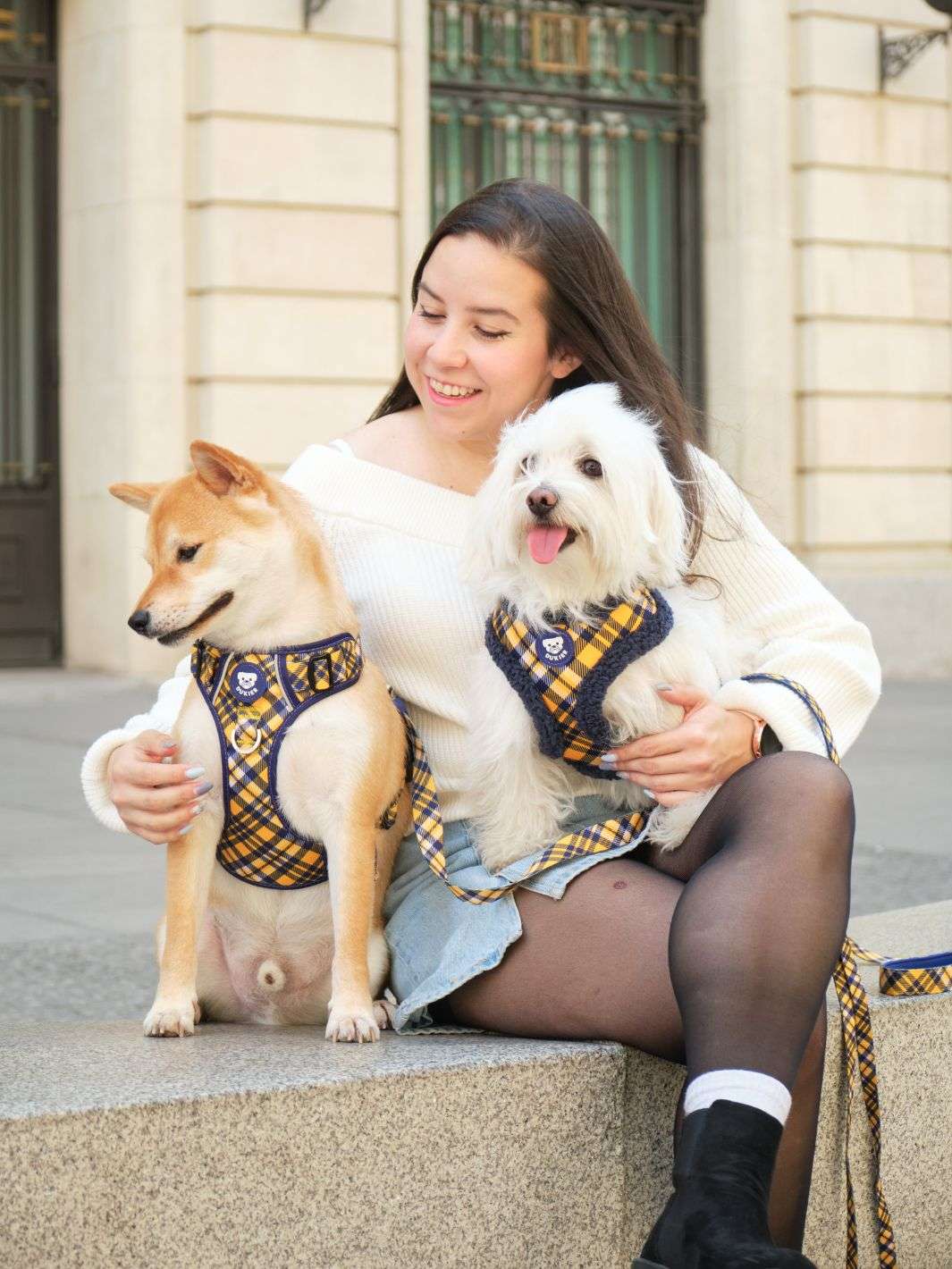 ARNES AJUSTABLE PARA PERRO TARTÁN MUSTARD