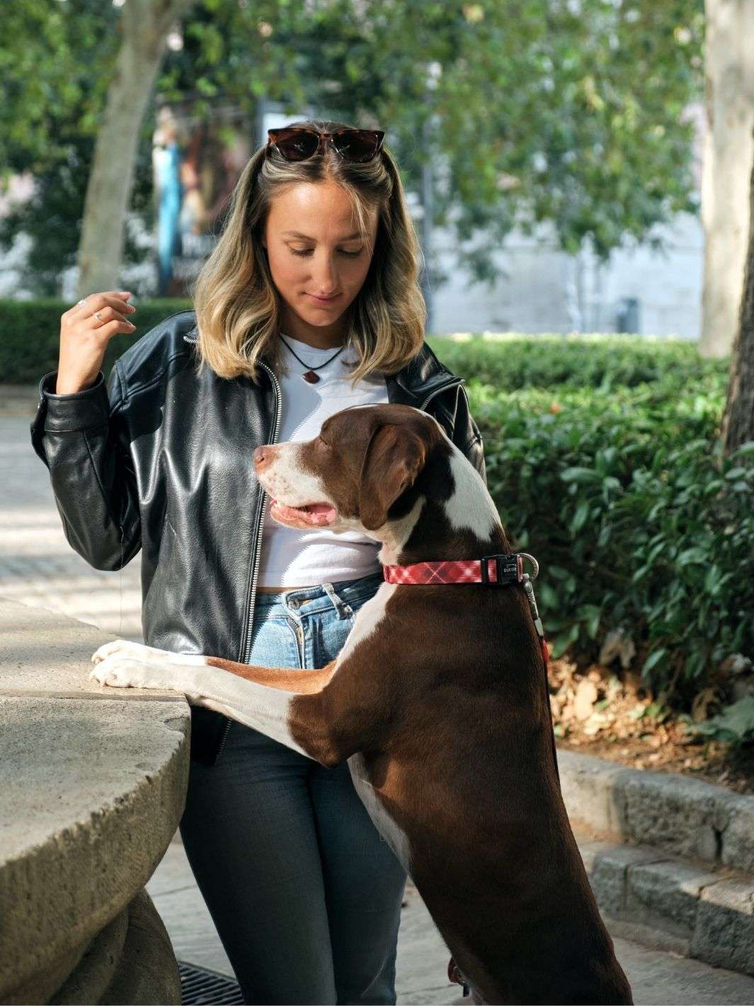 COLLAR PARA PERRO TARTÁN RED